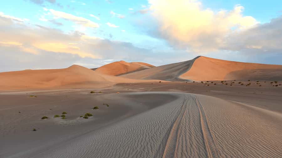 Doha: Sunset Safari, Dune Bashing, Sandboarding & Camel Ride - Dune bashing in the 4x4: the thrill, and the safety limits