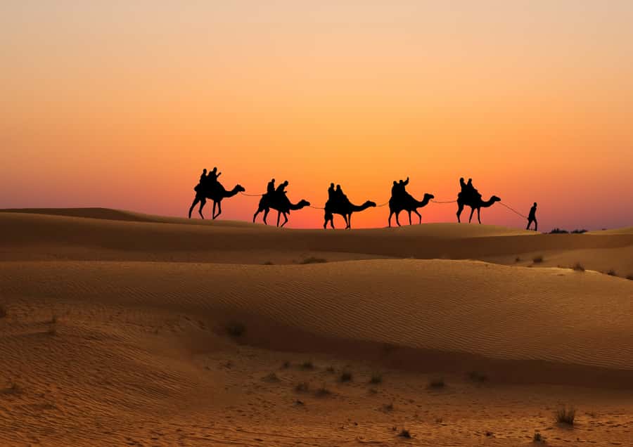 Doha: Sunset Safari, Dune Bashing, Sandboarding & Camel Ride - Price and value: what $29 buys you, and what it does not