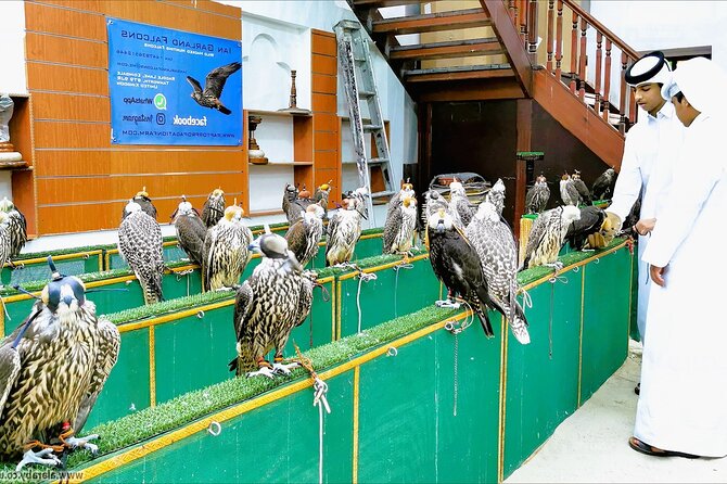 Doha Transit City Tour From Hamad Airport - Souq Waqif: shopping time, with crafts and falconry energy