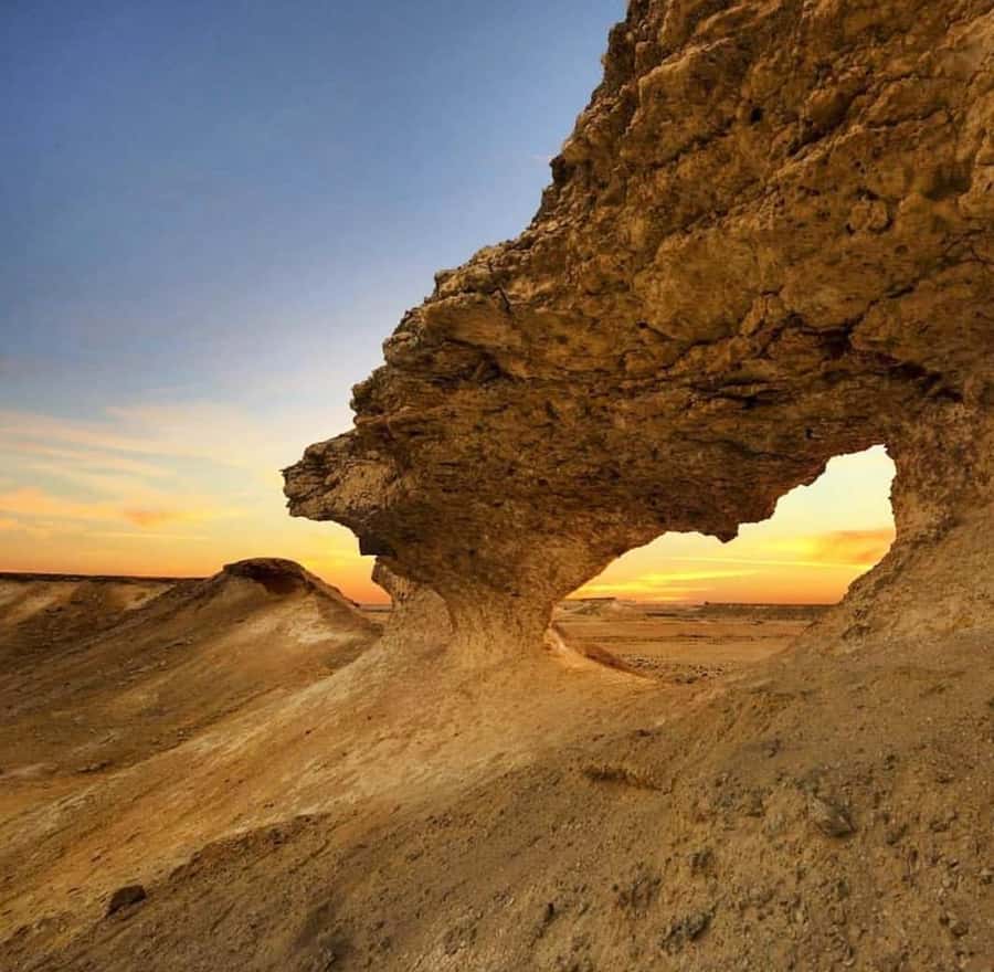 Doha: West Coast Qatar Tour, Sculptures, Camel Racing track - West Coast Qatar in 4 Hours: Why This Route Works