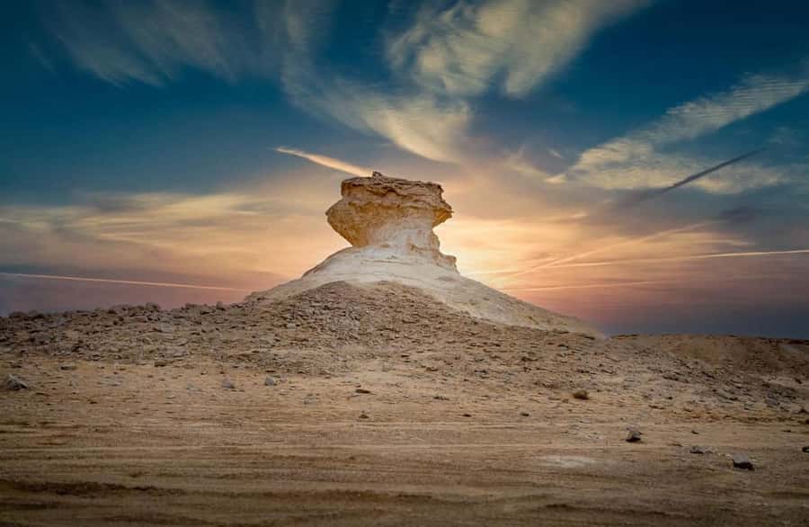 Doha: West Coast Qatar Tour, Sculptures, Camel Racing track - Al Shahaniya Camel Racetrack: Up Close With Qatar’s Living Traditions