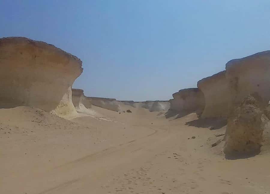 Doha: West Coast Qatar Tour, Sculptures, Camel Racing track - What You Actually Get for the Money, and Why It Feels Worth It
