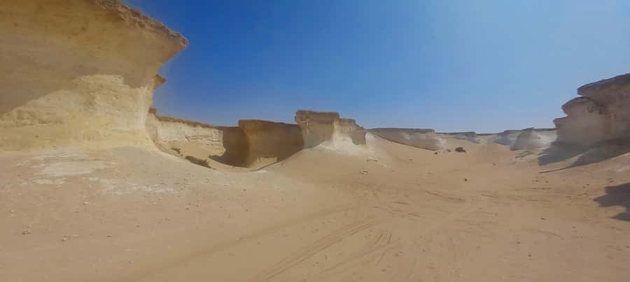 Doha: West Coast Qatar Tour, Sculptures, Camel Racing track - Who This Tour Suits Best, and Who Should Rethink It