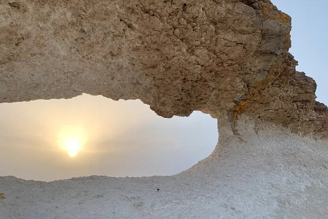 Doha : West Coast Tour on Zekreet Peninsula - What the Guide Adds (And Why It Changes Your Day)