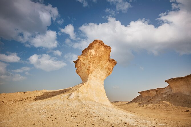 Doha : West Coast Tour on Zekreet Peninsula - Group Size, Privacy, and How That Impacts Your Comfort