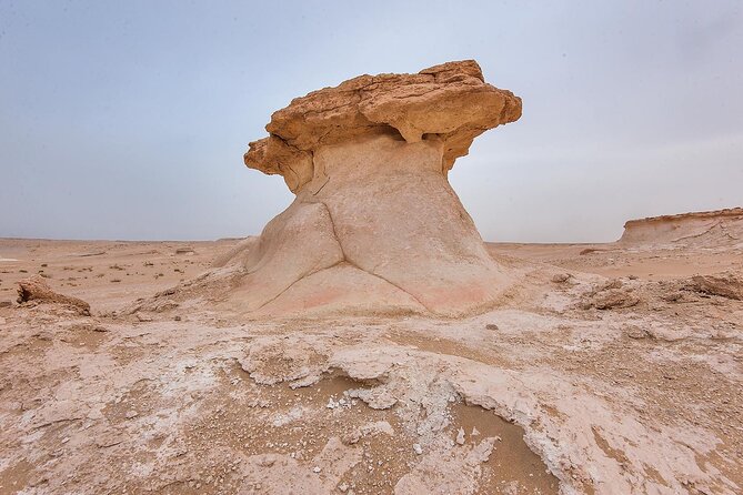 Doha : West Coast Tour on Zekreet Peninsula - Timing: What a 4 to 5 Hour Day Really Covers