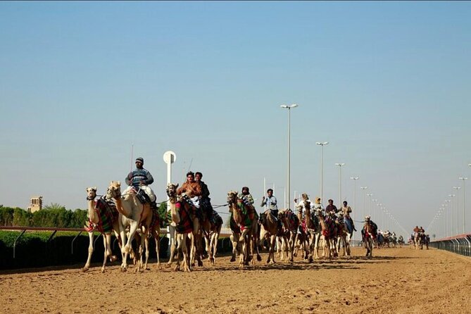 Doha: West Coast Tour Sculpture,Camel Racing Track Rock Formation - How the 4-hour west coast route really feels