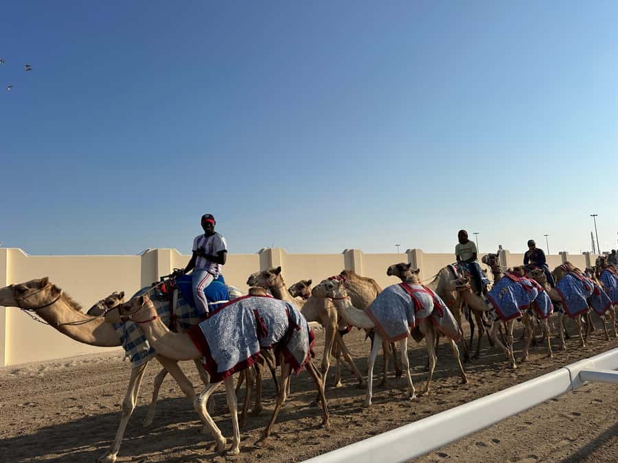 Doha: West Qatar Guided Journey With Pickup & Drop-Off - Price and value: is $48 per person a fair deal?