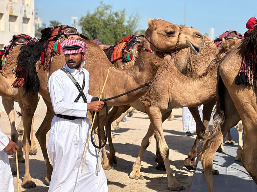 Doha: West Qatar Guided Journey With Pickup & Drop-Off - A fast, focused way to see West Qatar in 4 hours
