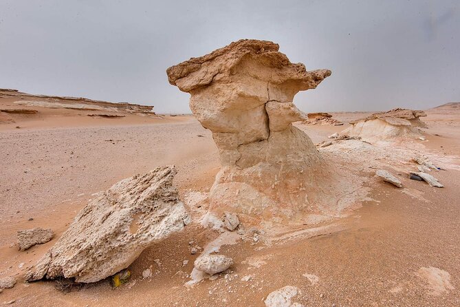 Doha West Qatar Richard Serra Sculpture, Mushroom Rock Tour - What You Really Get for $65: Value Beyond the Price Tag