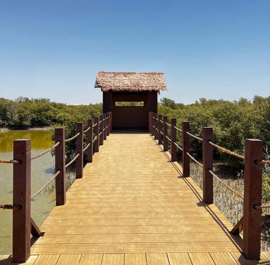 Doha: Zubara UNESCO Site, Mangroves & Jumail Village - Key things to know before you go