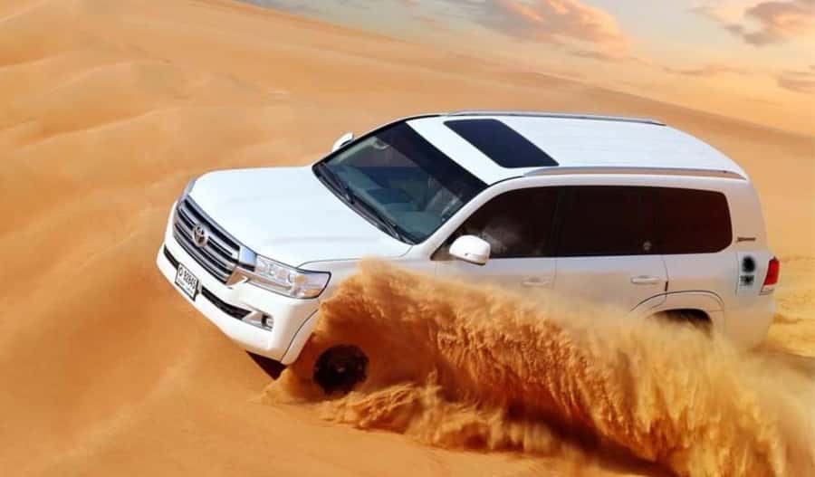 Dune Bashing &Beyond The Ultimate Desert Safari From Doha - Key highlights you will actually feel