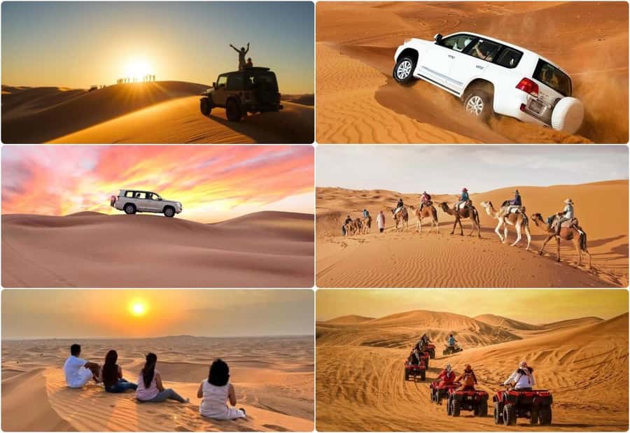 Dune Bashing &Beyond The Ultimate Desert Safari From Doha - Safety reality check: who should skip it, and what to do if you get motion sick
