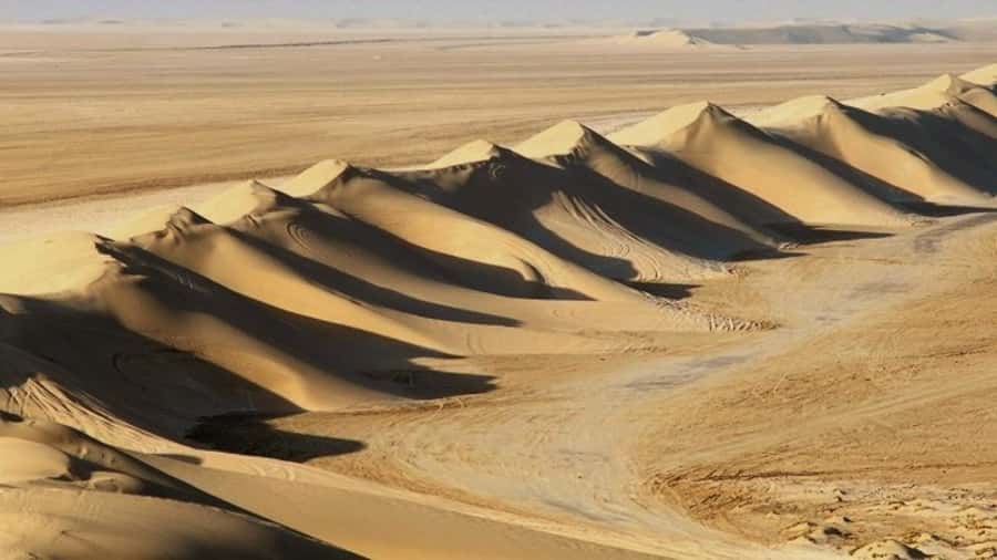 Dune Bashing, Sandboarding, Camel Ride & Optional ATV Ride - 4 Hours of Desert Energy: How the Timed Route Works
