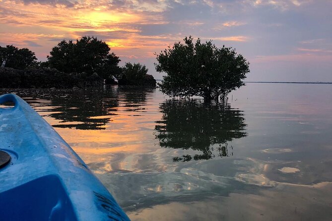Eco Kayaking Adventure - Mangrove Exploration at Purple Island - Key Highlights Worth Booking For