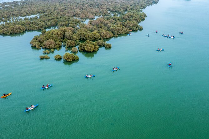 Eco Kayaking Adventure - Mangrove Exploration at Purple Island - The On-Water Part: Calm Channels and Real Wildlife Chances