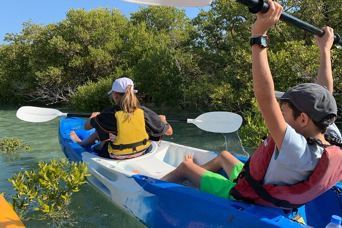 Eco Kayaking Adventure - Mangrove Exploration at Purple Island - The Culture Component: Bin Ghanim Island and Qatar’s Flag Story