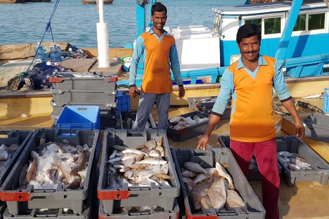 Explore North of Qatar: Visit Zubarah Fort and Fishing Town of Al Khor - Price and value: is $123.08 per person a fair deal?