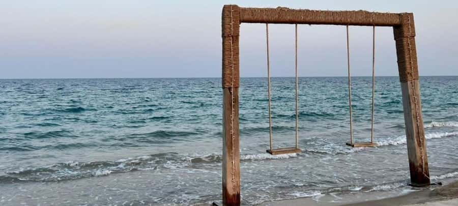 From Doha: 8-hour Safari Tour with Desert Beach Experience - Resort activities that fit different travel styles
