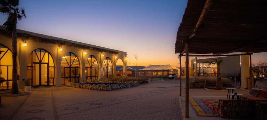 From Doha: 8-hour Safari Tour with Desert Beach Experience - What to bring (and what not to bring) for a smoother day