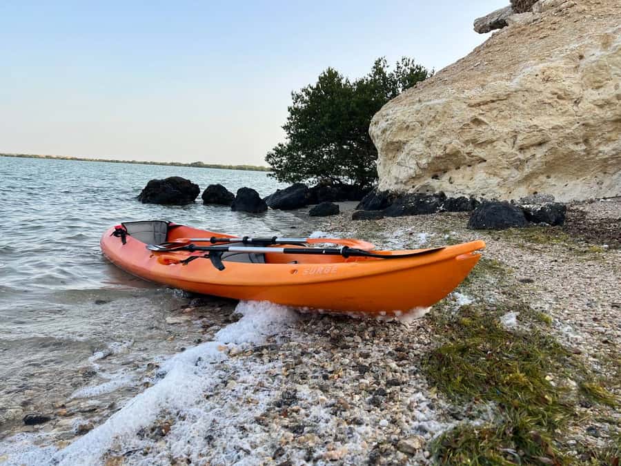 From Doha: Mangroves Kayaking Adventure - Key Things I’d Focus On Before You Go