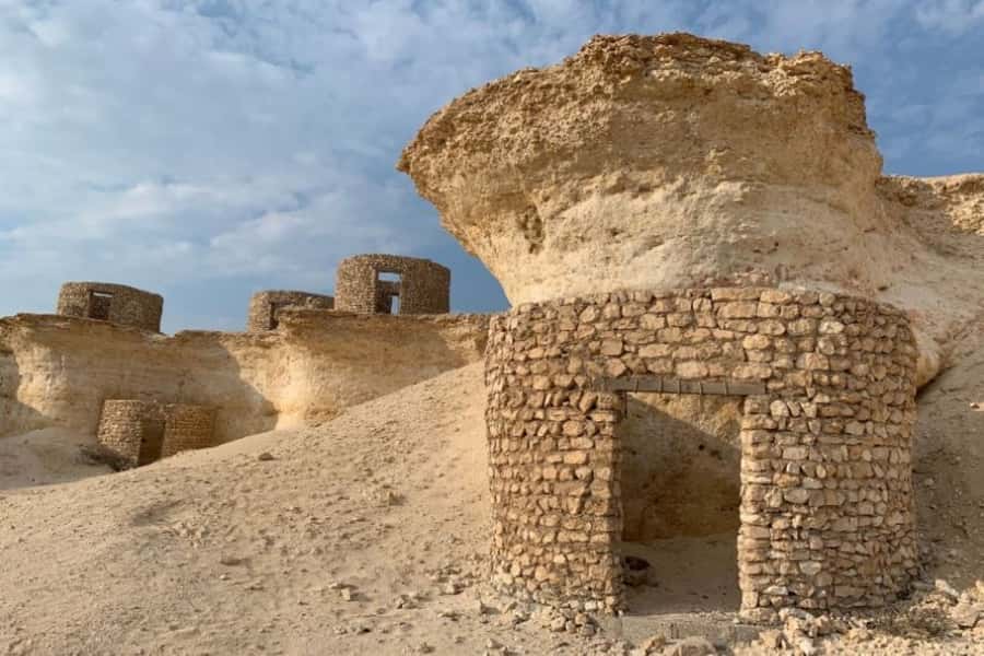From Doha: Private West Coast and Camel Race Track Tour - Guides, Driving Comfort, and the Small Details That Matter