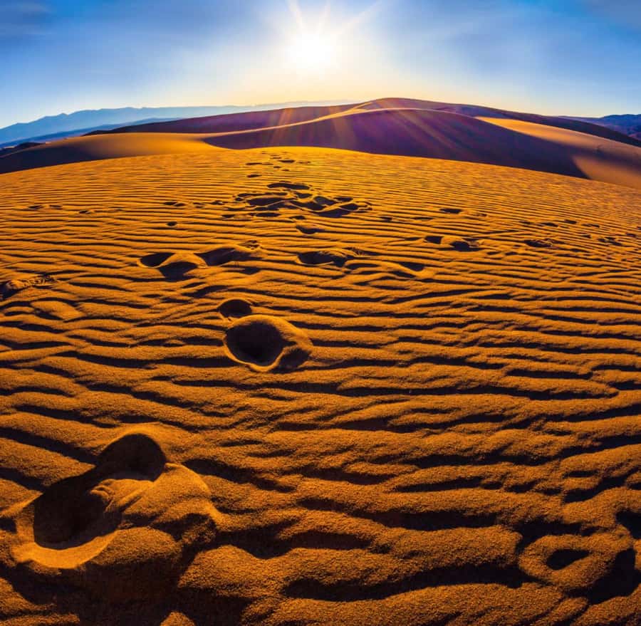 From Doha: Sunrise or Sunset Safari with Sand Boarding - Key things I think you will like