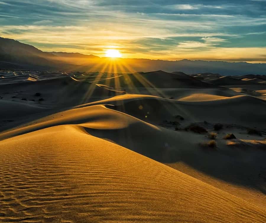 From Doha: Sunrise or Sunset Safari with Sand Boarding - Sunrise vs sunset: which option makes the most sense?