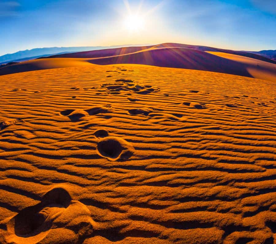 From Doha: Sunrise or Sunset Safari with Sand Boarding - What tire-deflation dune bashing feels like
