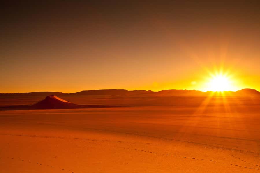 From Doha: Sunrise or Sunset Safari with Sand Boarding - High-dune photo stops, panoramic pauses, and what to bring