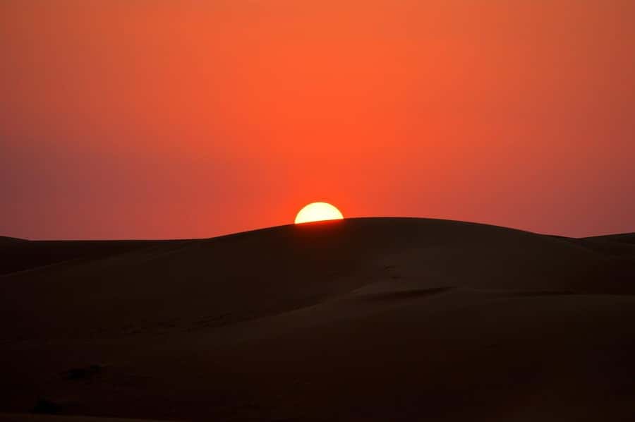From Doha: Sunrise or Sunset Safari with Sand Boarding - Price and value: what you get for about $27