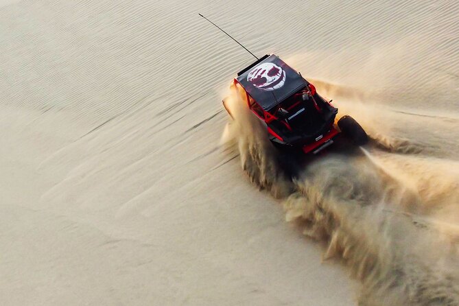 Full Day Desert Safari Doha/dinner included - Key things I’d bet on before you book