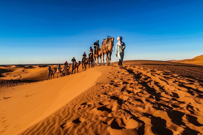 Full-Day Desert Safari with Buffet Dinner || Inland Sea Visit - Bedouin-Style Camp by the Sea: More Than Just Dinner