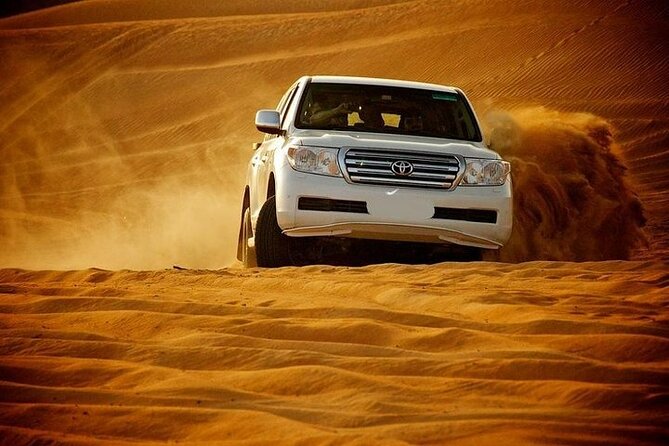 Full Day Desert Safari with Camp Access, Buffet Dinner,Camel Ride - Visiting a camel farm and finding Bedouin culture in the details