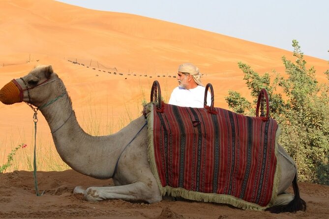 Full Day Desert Safari with Camp Access, Buffet Dinner,Camel Ride - Desert camp access by the beach: swimming, shade, and real downtime
