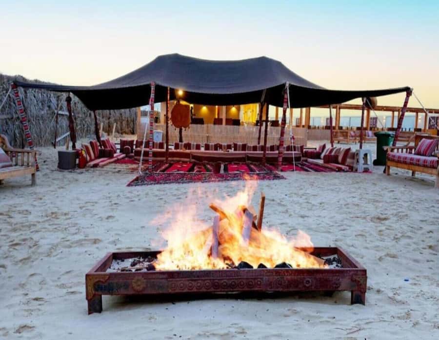 Full day desert safari with lunch or Dinner - Who this safari is best for (and who should skip it)