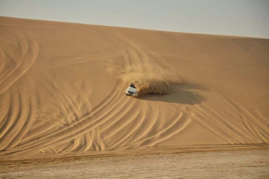 Full day desert safari with lunch or Dinner - Price and value: what $151 includes, and what costs extra