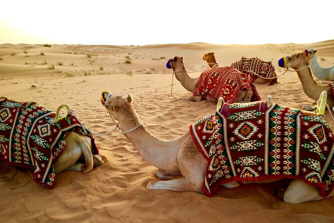 Full-Day DesertSafari with Camel Ride,InlandSea & BBQ Desert Camp - What to Pack (So the Day Feels Easy)