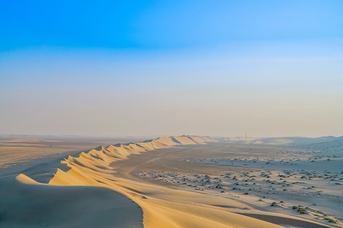 Full-day Qatar desert safari: dune bashing, sandboarding, camels - A Qatar desert safari with more than just dunes