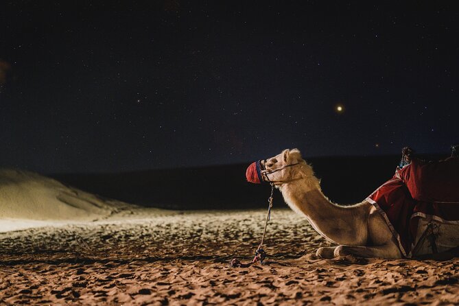 Full Day Qatar North and Desert Safari with pickup - Getting the Timing Right: Pickup, Heat, and How to Enjoy Every Stop