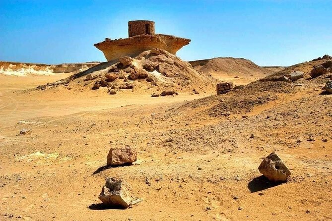 Full Day Qatar's North And West tour || History & Heritage - The big idea: a whole day outside Doha, without feeling rushed