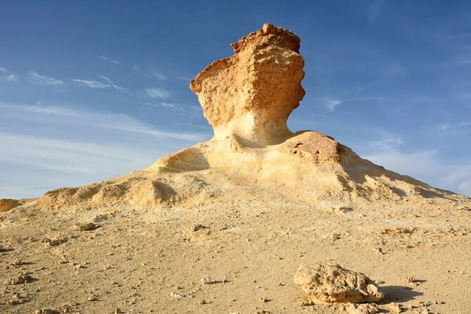 Full-Day Tour Qatar North And West - Al Thakhira Beach and Mangroves: Where Nature Runs the Coast