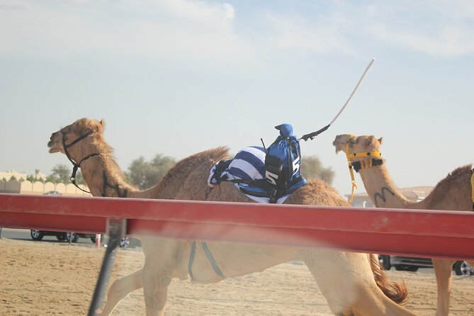 Full-Day Tour Qatar North And West - Ash-Shahaniyah: Camel Racing Track View During Training