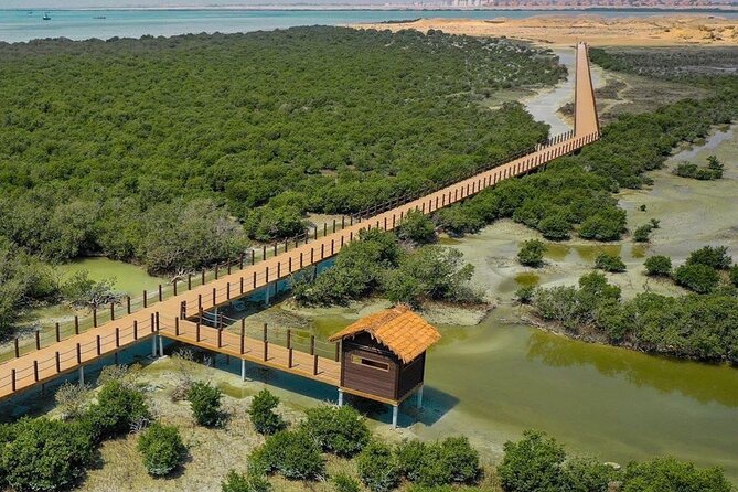 Full Day Tour to Qatar North And West With Pickup From Doha - Al Khor Coastal Stop, Where You Start Learning the North