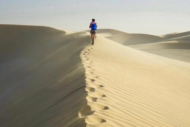 Half Day Desert Safari and Inland Sea - Who This Tour Suits Best (and Who Might Not)