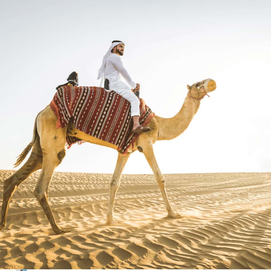 Half-Day Desert Safari For Cruise Ships Passngers. - Key things to know before you go