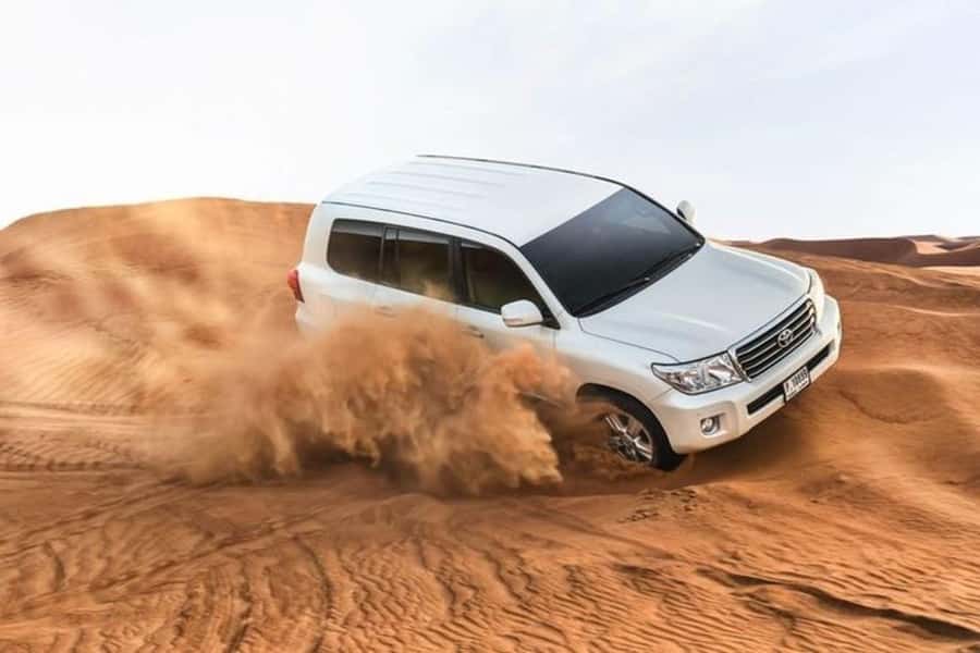 Half-Day Desert Safari For Cruise Ships Passngers. - Camp tea, a short camel ride, and what dune bashing is really like