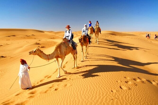 Half Day Desert Safari with Sand Boarding and Camel Ride - Price Check: Is $59 a Fair Deal in Doha?