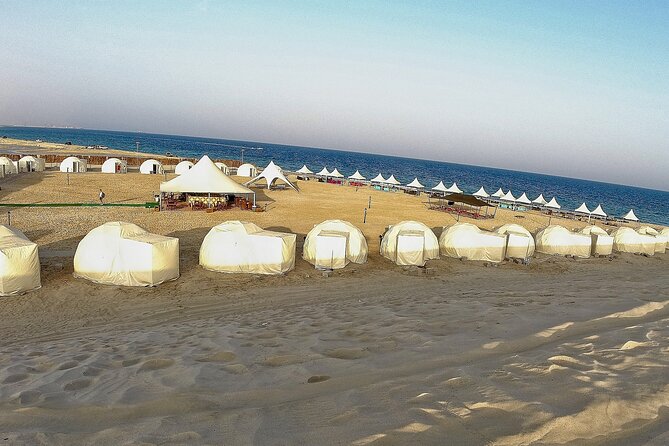 Half Day Desert Tour with Camel Ride - Key Highlights You’ll Actually Feel During the Tour