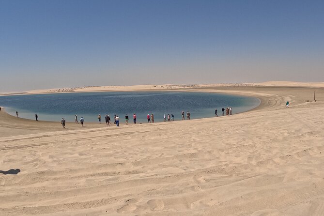 Half Day Night and Morning Desert Safari Camel and Sand Boarding - Sealine Beach stop: camel ride options, tire deflation, and tea